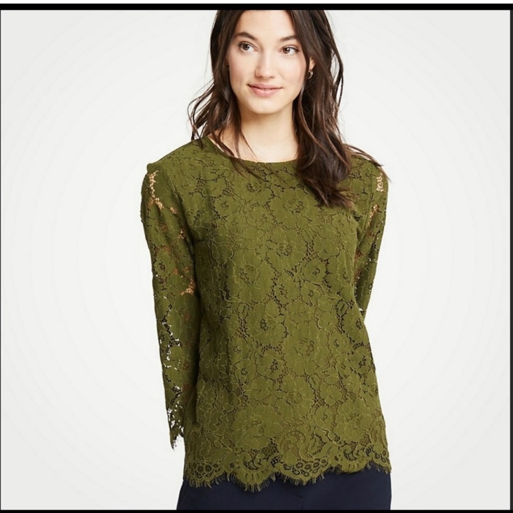 Ann Taylor olive green lace front tee size L